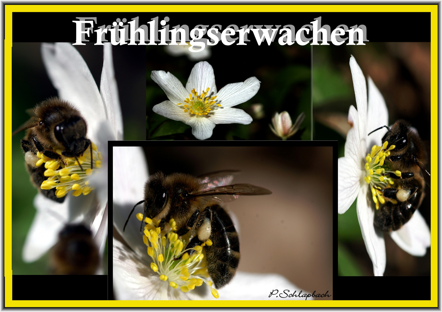 Frühlingsgefühle