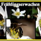 Frühlingsgefühle