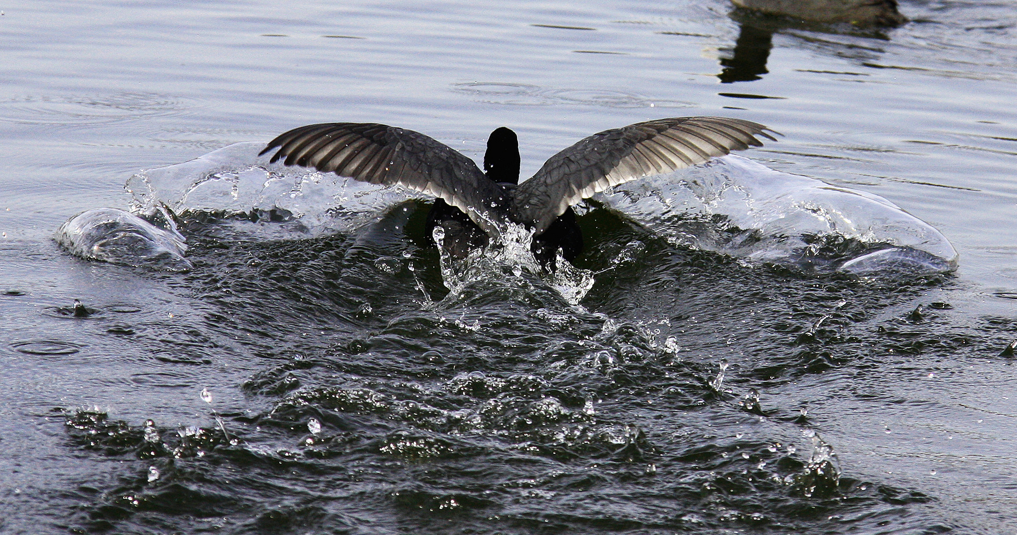 Frühlingsgefühle auf dem Moossee