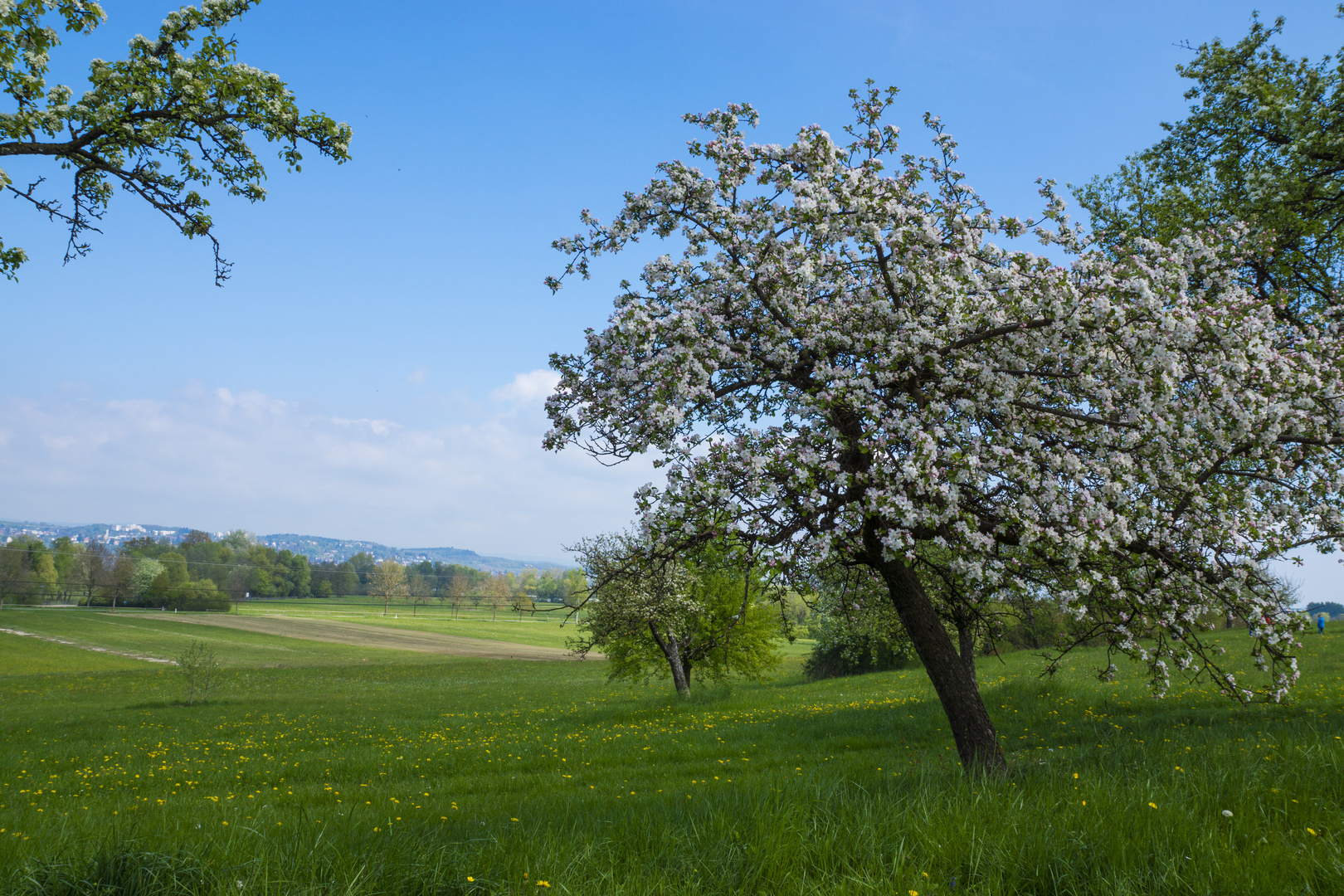 Frühlingsgefühle