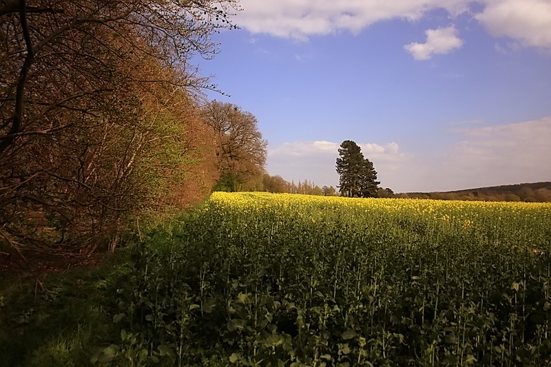 Frühlingsgefühle