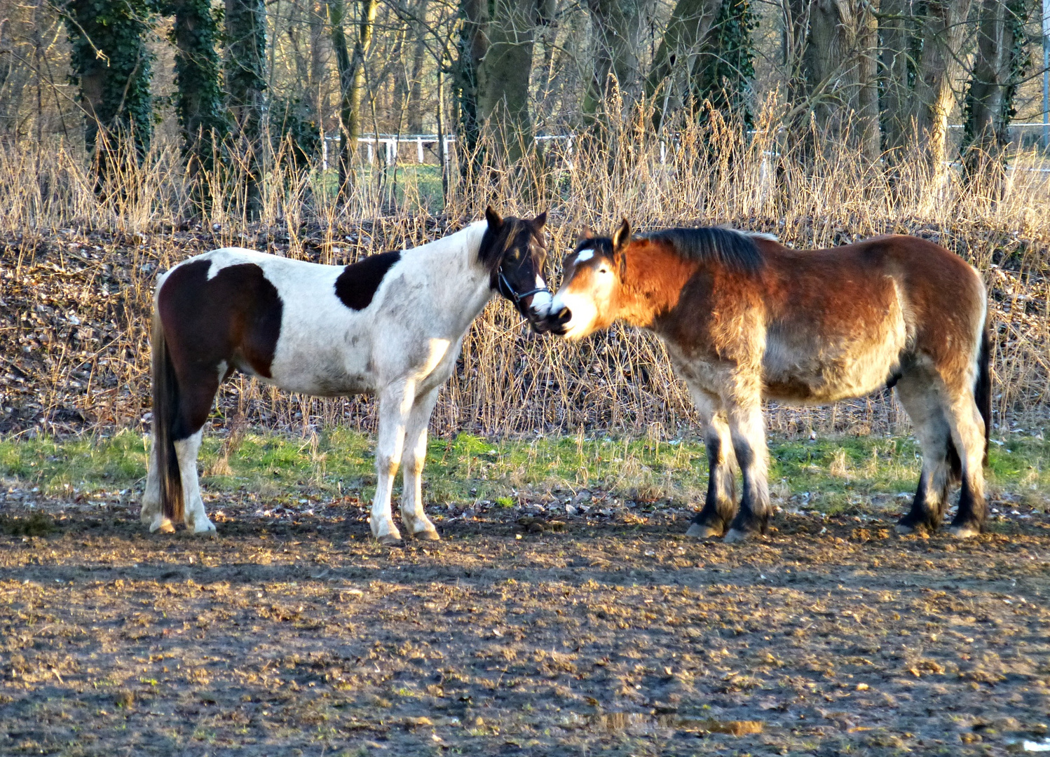 Frühlingsgefühle