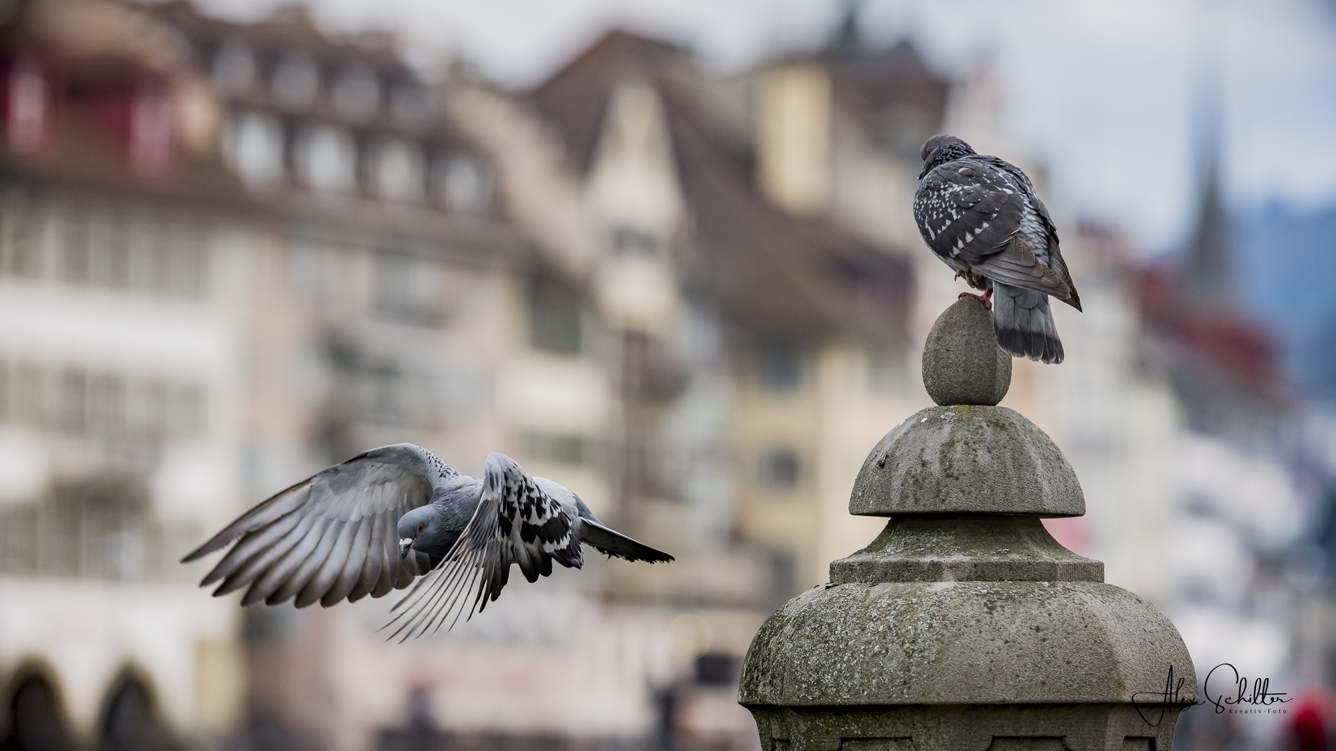 "Frühlingsgefühle... Catwalk... in Luzern"  