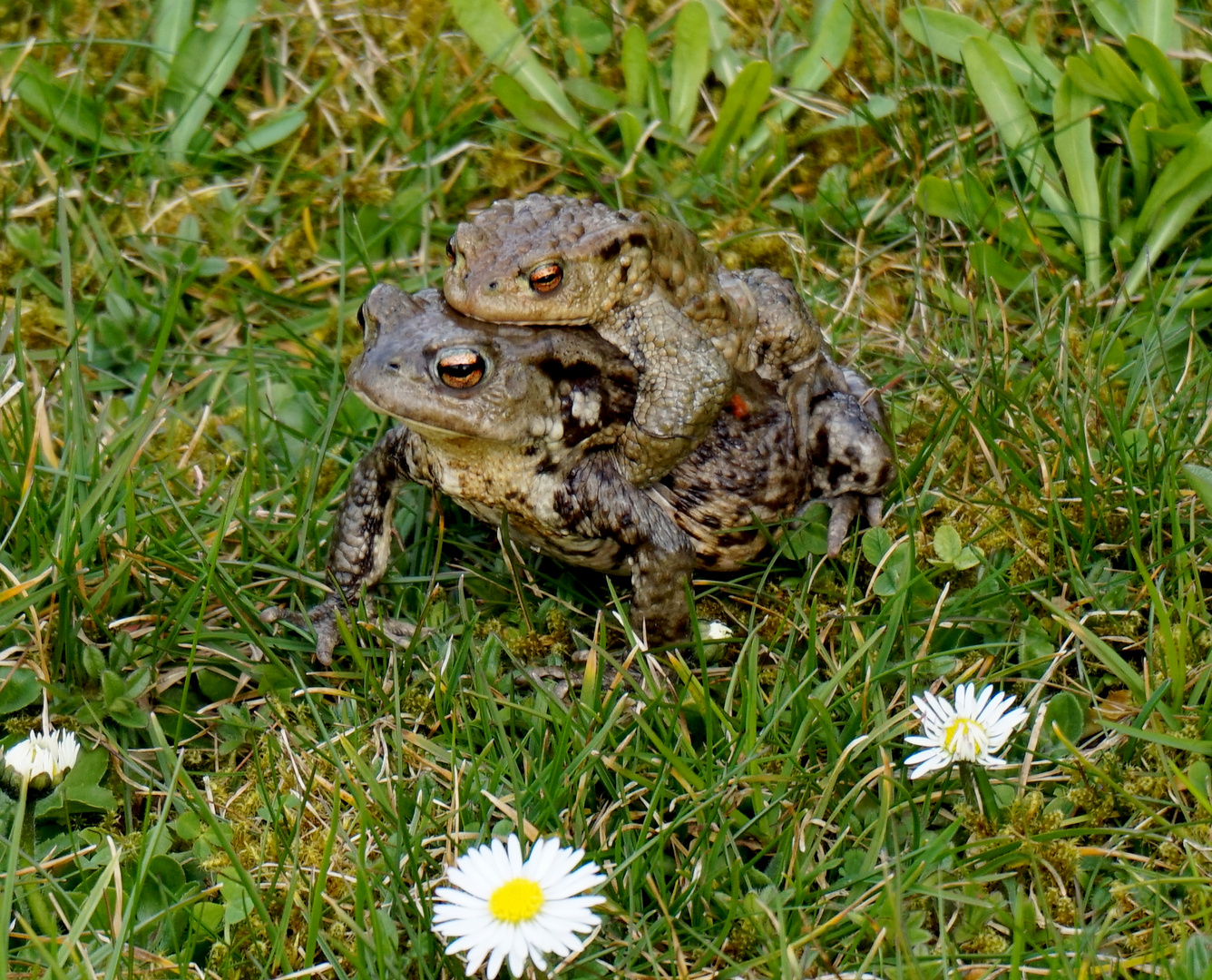 Frühlingsgefühle