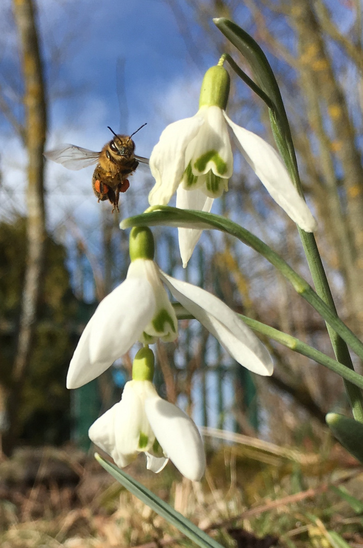 Frühlingsgefühle