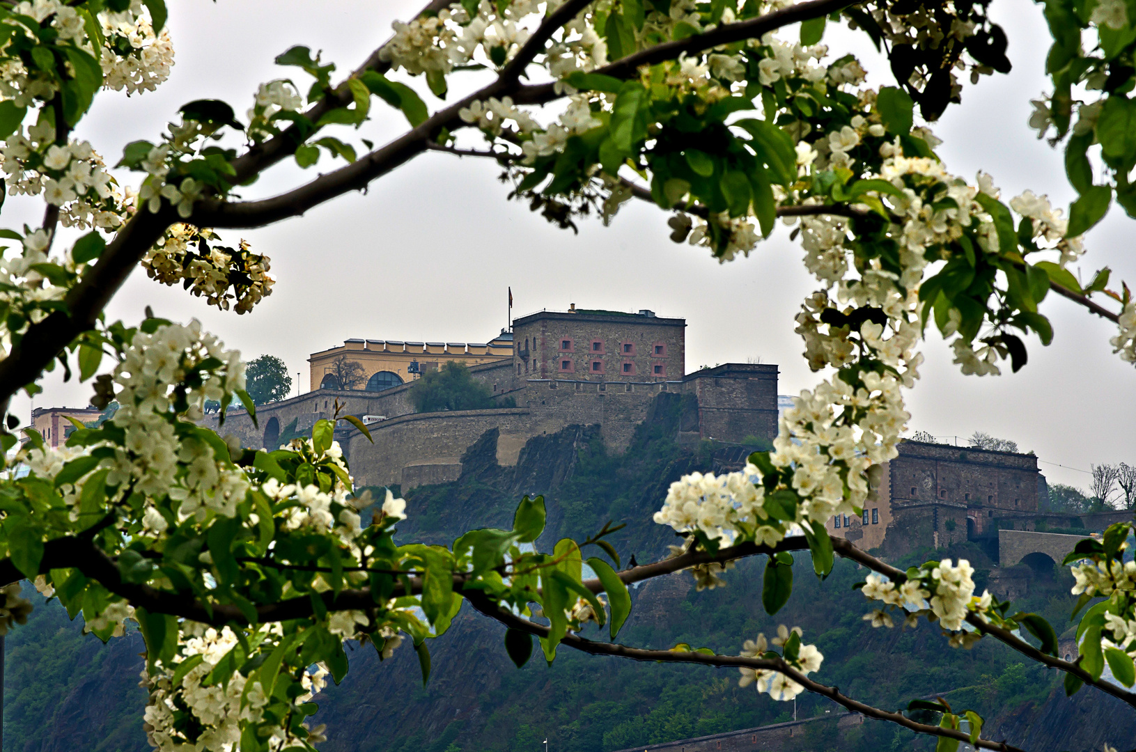 Frühlingsgefühle, Festung Ehrenbreitstein