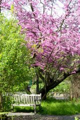 Frühlingsgefühle im Botanischen Garten zu Leipzig