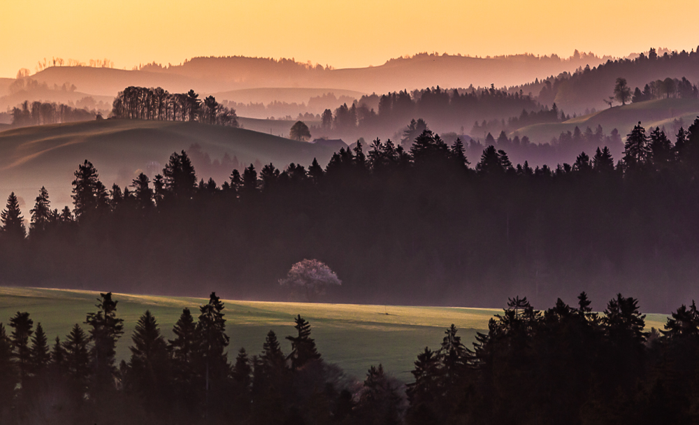 Frühlingsgefühle im Emmental