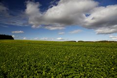 Frühlingsgefühle im Herbst