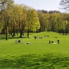 Frühlingsgefühle im Park