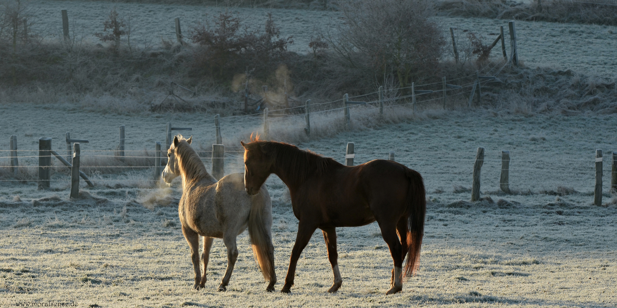 Frühlingsgefühle im Winter