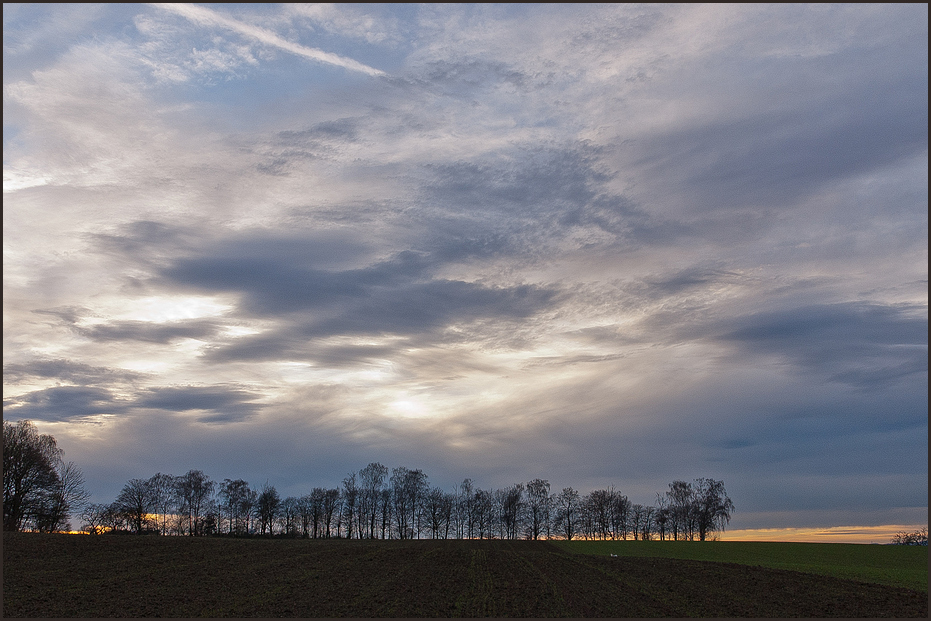 Frühlingsgefühle im Winter