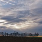 Frühlingsgefühle im Winter