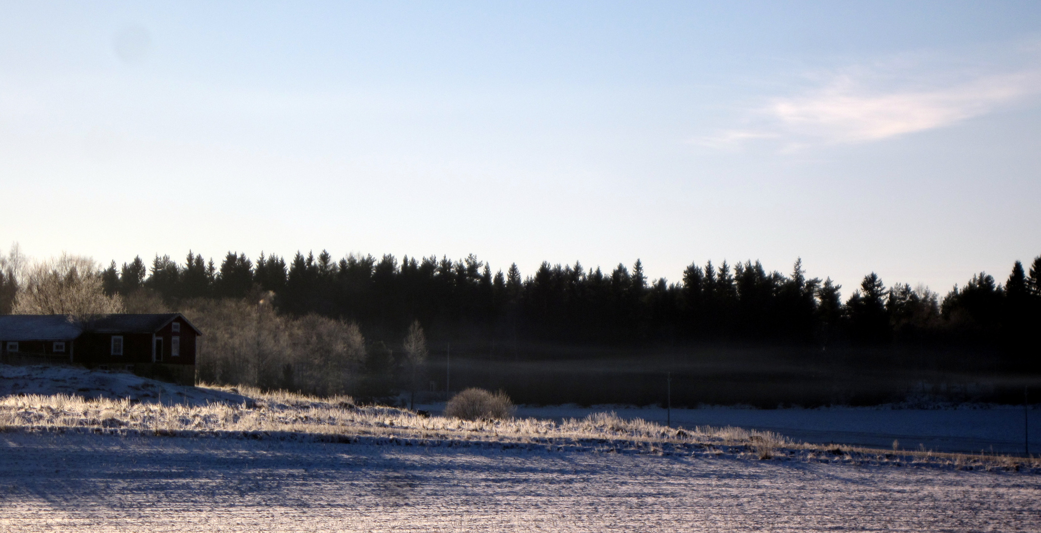 Frühlingsgeister schweben im Winter mit langen Schatten.