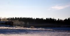 Frühlingsgeister schweben im Winter mit langen Schatten.