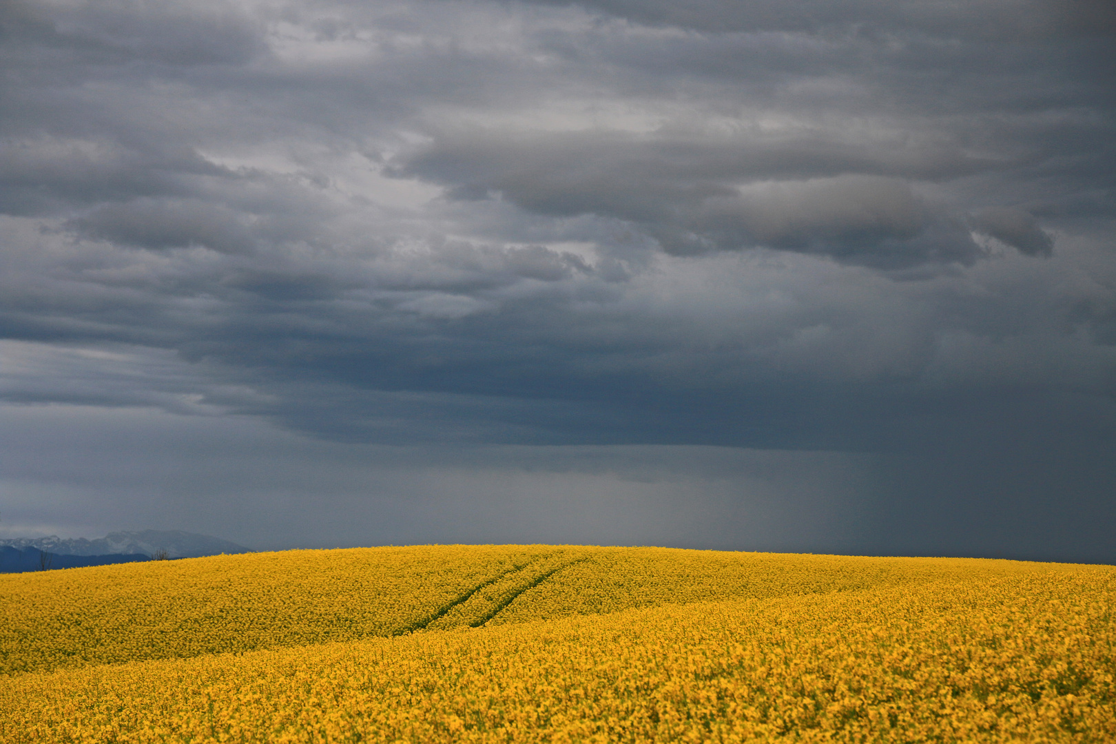 Frühlingsgewitter