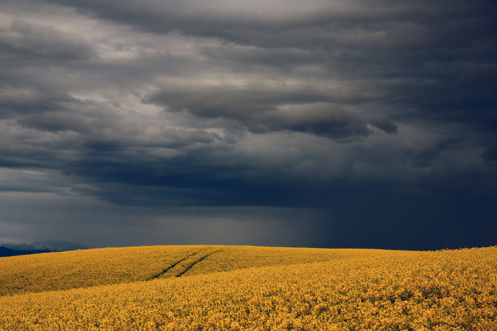 Frühlingsgewitter