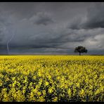 Frühlingsgewitter