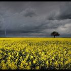 Frühlingsgewitter