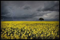 Frühlingsgewitter