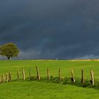 ~ Frühlingsgewitter ~