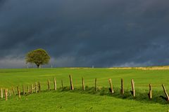 ~ Frühlingsgewitter ~