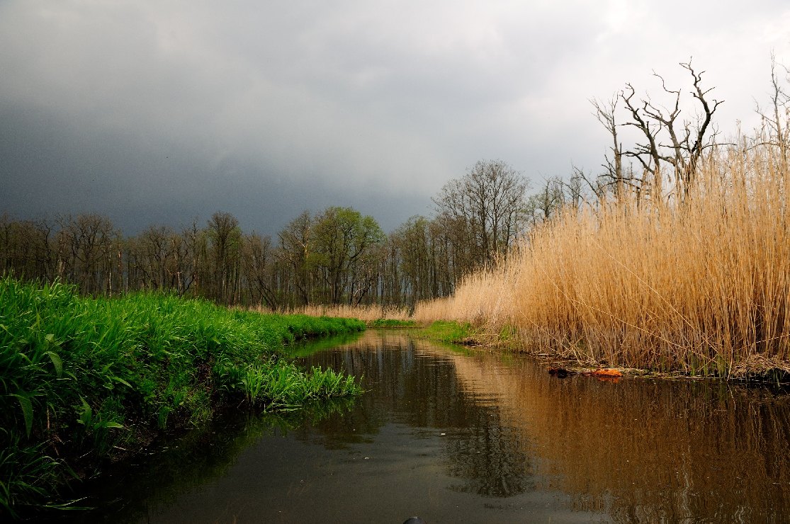 Frühlingsgewitter an der Trebel in MV