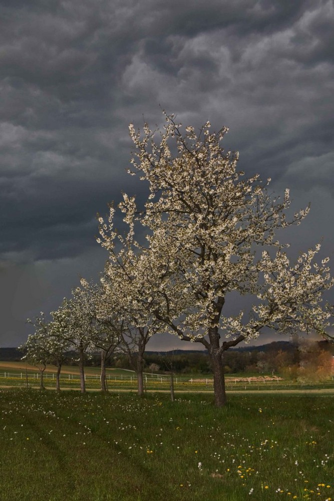 Frühlingsgewitter