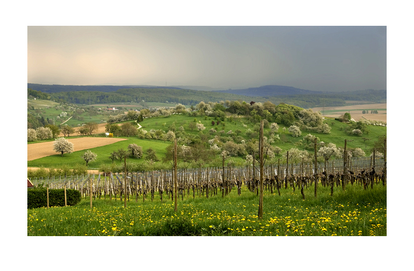 Frühlingsgewitter i. Markräflerland