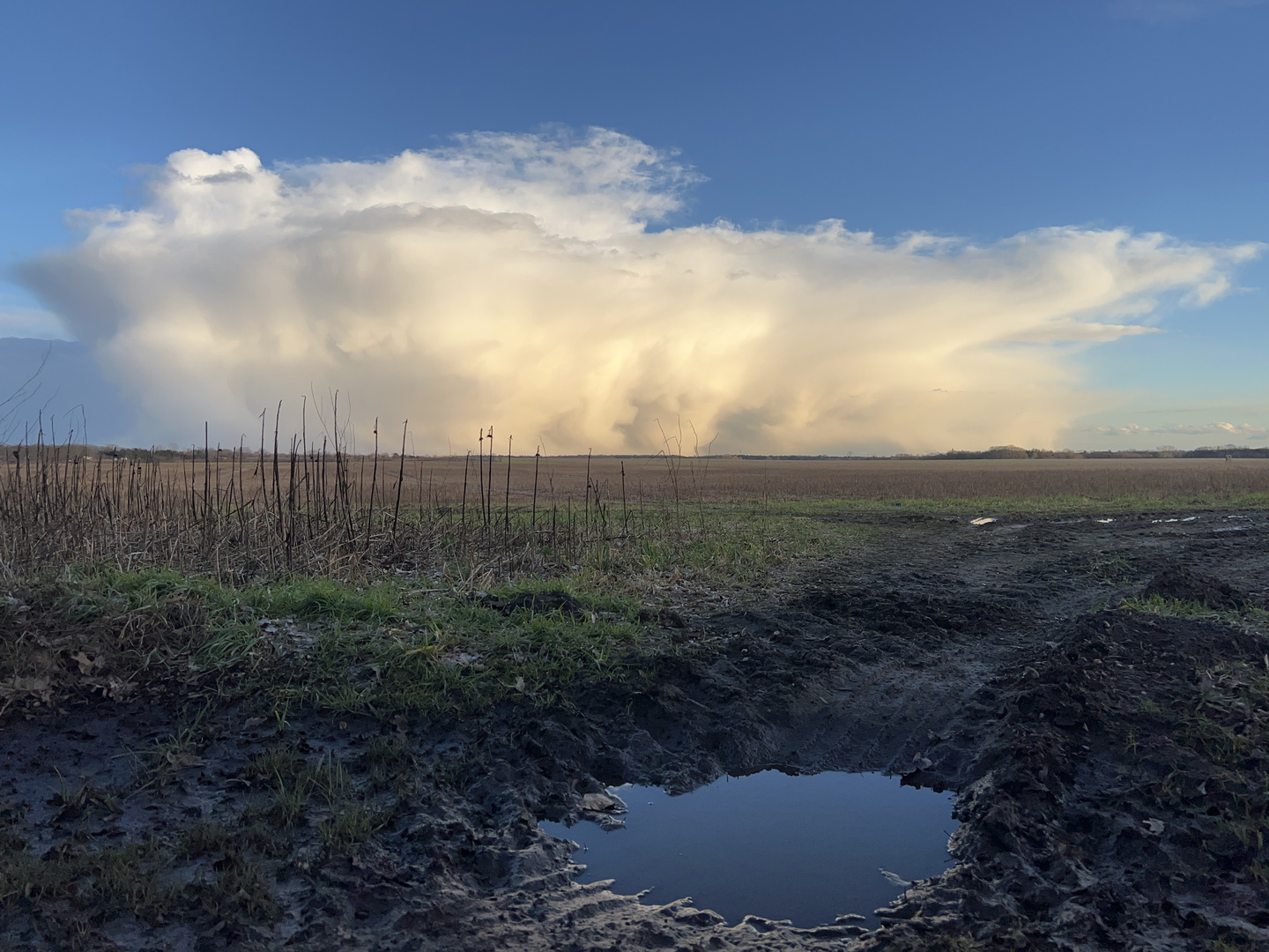 Frühlingsgewitter über Brandenburg 