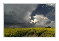 Frühlingsgewitter_22.5.11