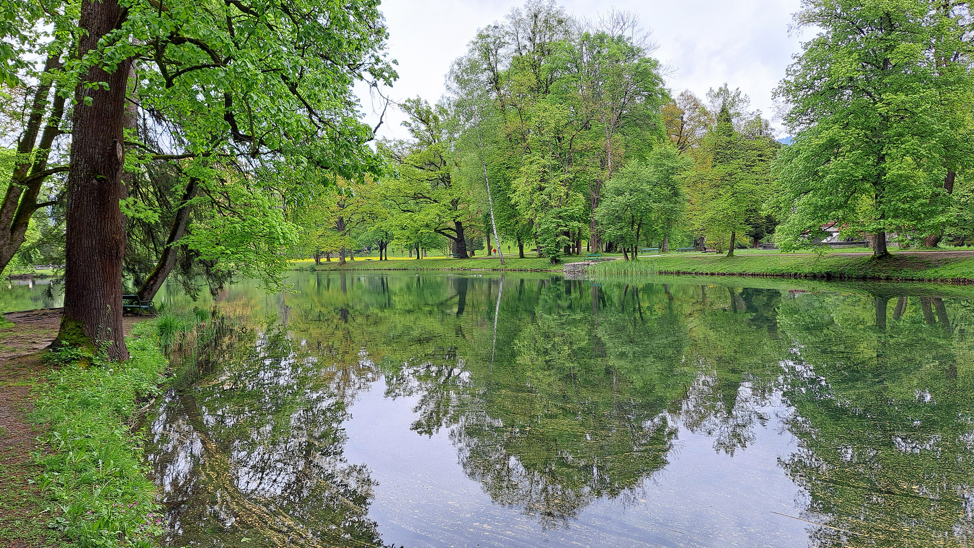 Frühlingsgrün