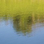 Fruehlingsgruen am kleinen Teich