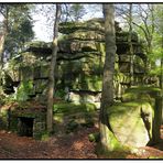 Frühlingsgrün am Waldstein