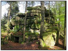 Frühlingsgrün am Waldstein