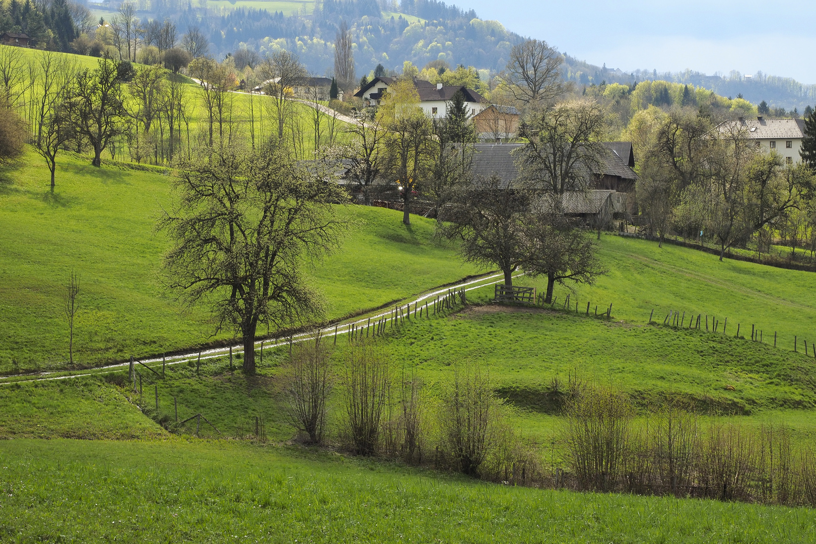 Frühlingsgrün im Mostviertel