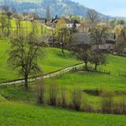 Frühlingsgrün im Mostviertel