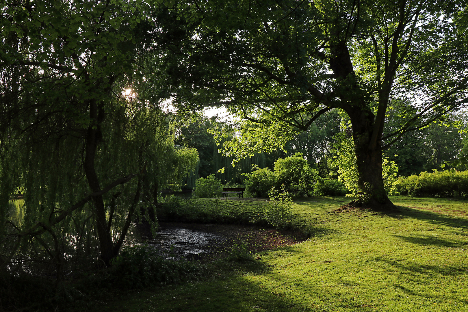 Frühlingsgrün im Park