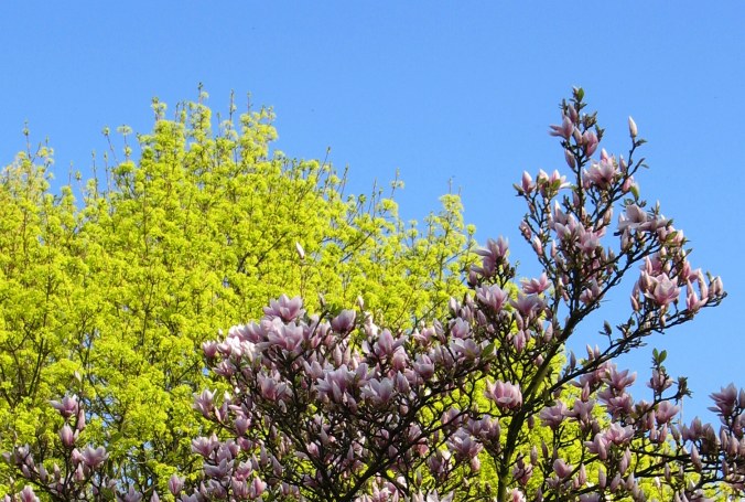 Frühlingsgrün trifft zartes Pink