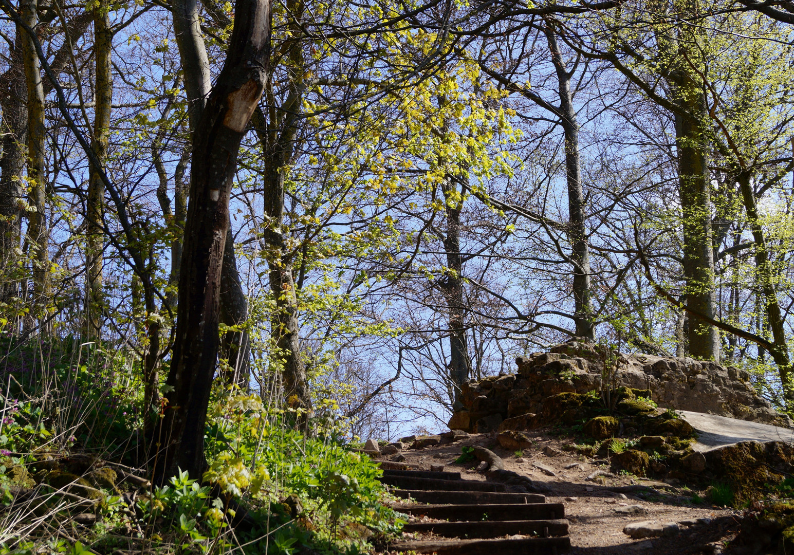 Frühlingsgrün und Minnesang 1