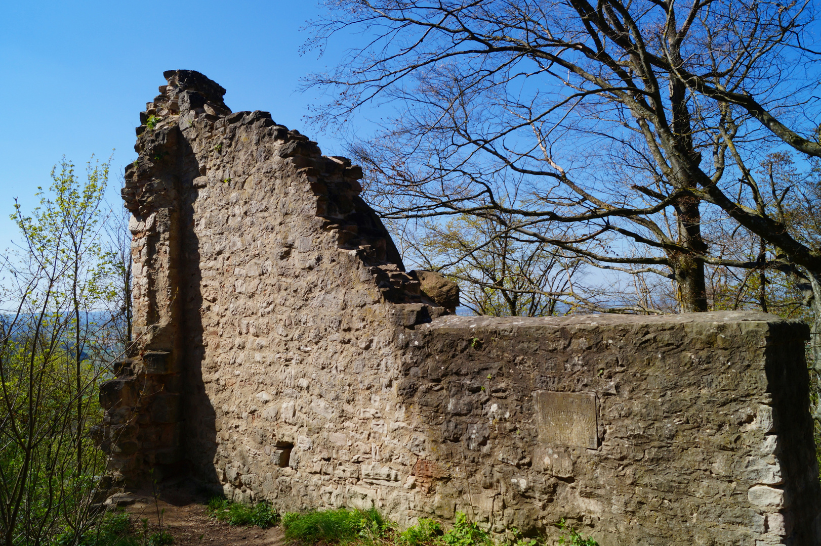 Frühlingsgrün und Minnesang 3