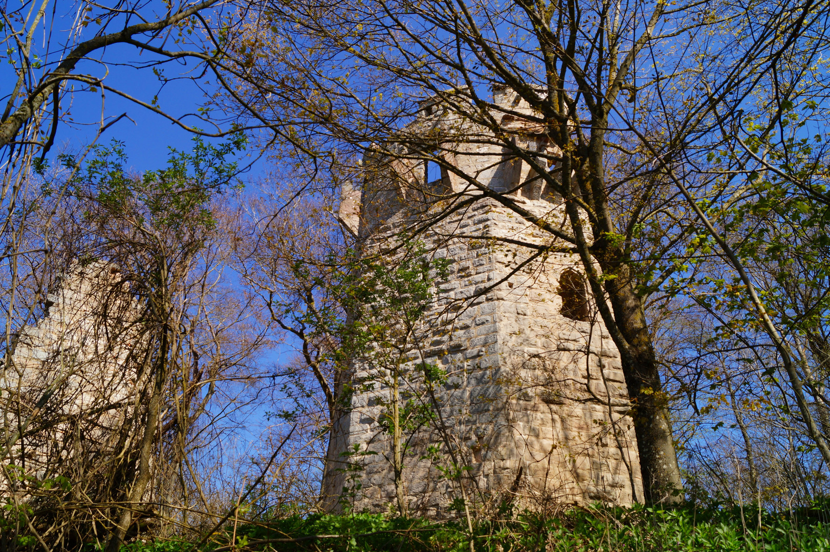 Frühlingsgrün und und Minnesang 2