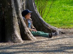 frühlingsgrünbetrachtung...