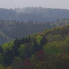 frühlingsgrüne sauerländische Wälder nach Regengüssen Ende April