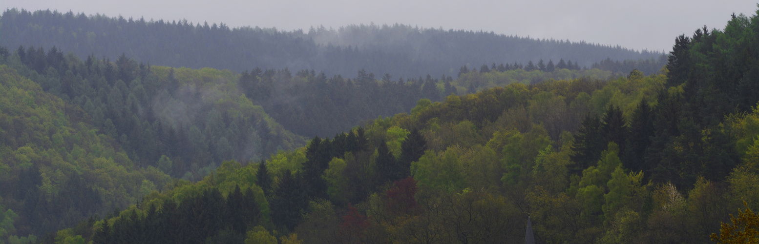 frühlingsgrüne sauerländische Wälder nach Regengüssen Ende April