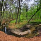 frühlingsgrüne Schleifen