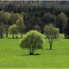 Frühlingsgrünes Wiesental... - m. Diskurs z. Komposition