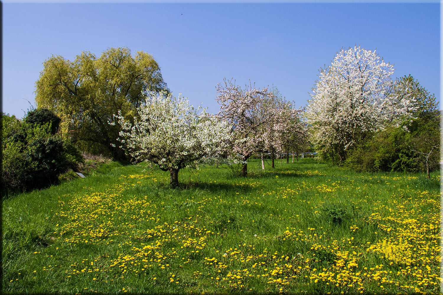 frÜHLINGSGRÜSSE