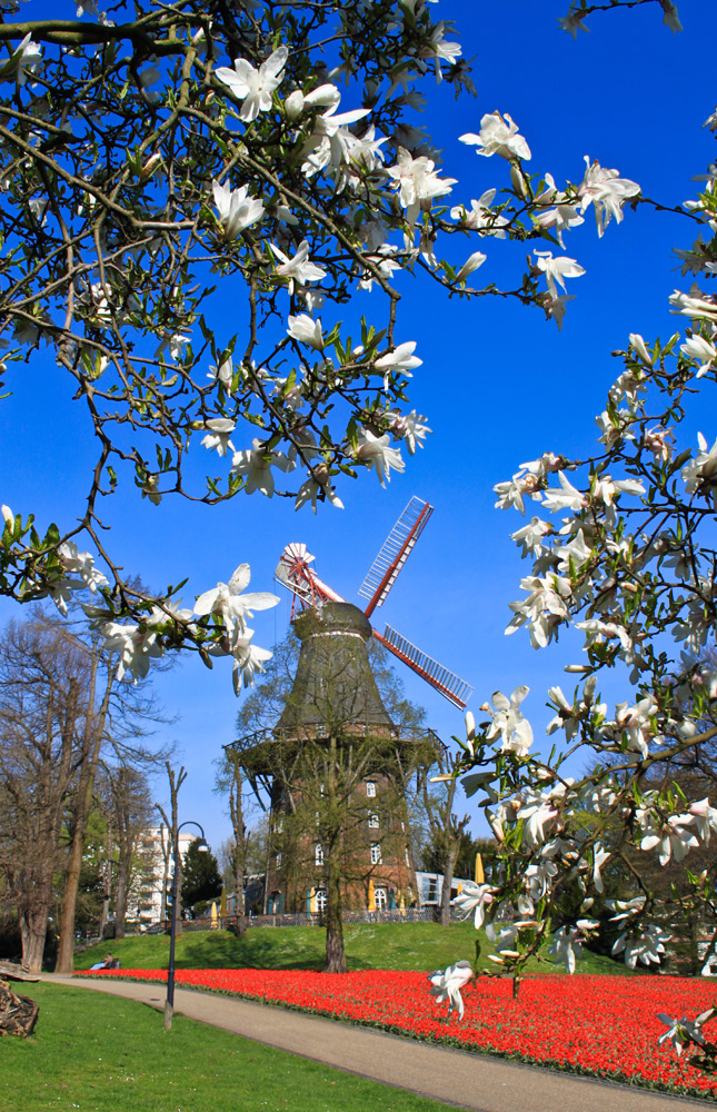 Frühlingsgrüsse aus Bremen