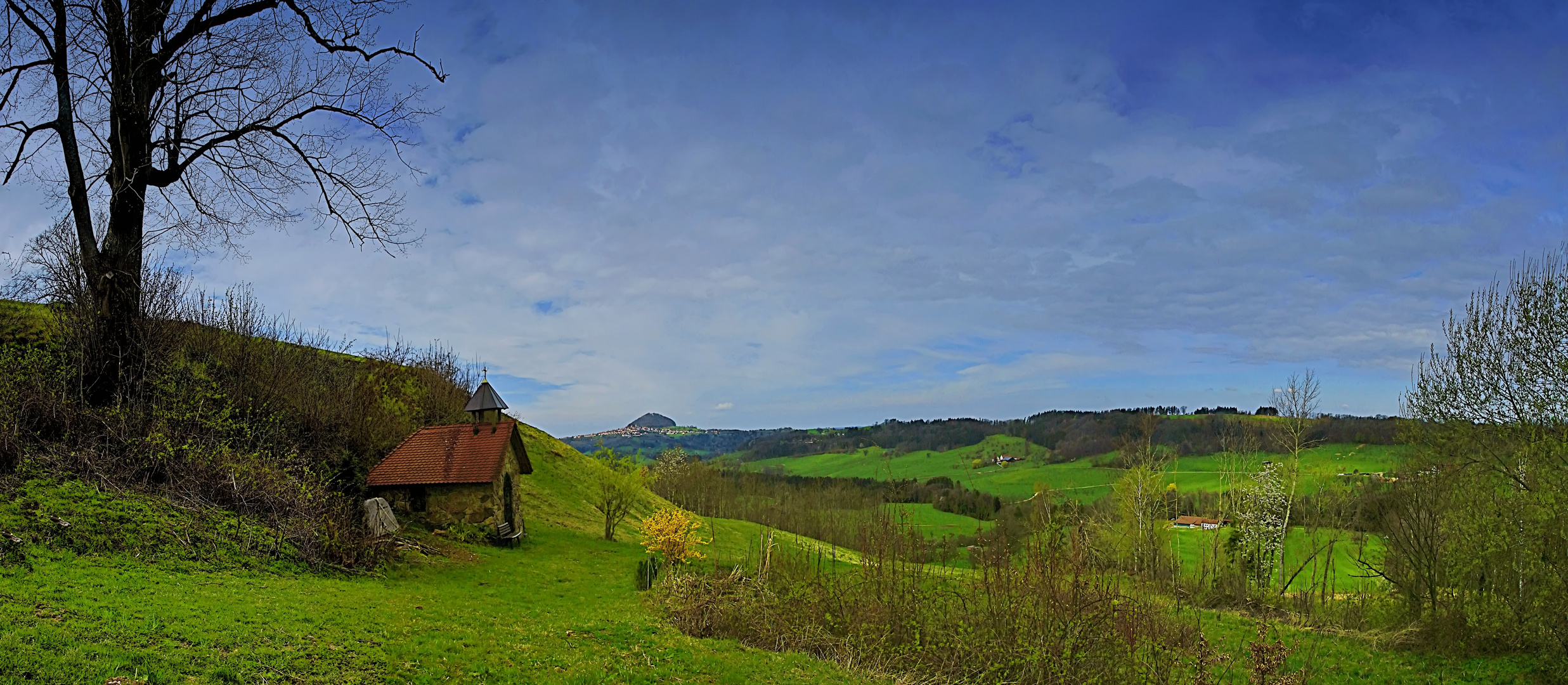 Frühlingsgrüße aus dem Schwabenländle -heute früh entdeckt